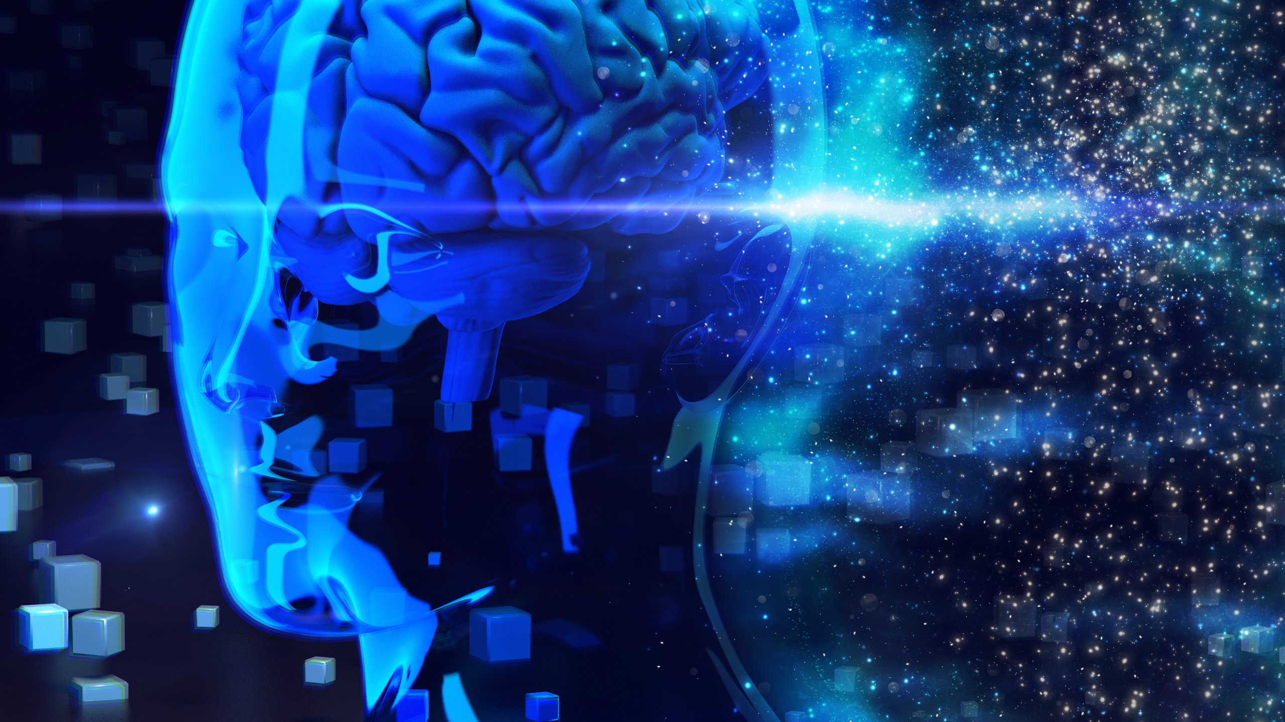 Management retail : comment les neurosciences boostent l’engagement équipe